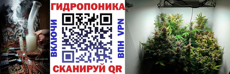 Сколько стоит Порхов Кетамин  Амфетамин  Меф мяу мяу  Бошки Шишки  APVP  Гашиш  Галлюциногенные грибы 