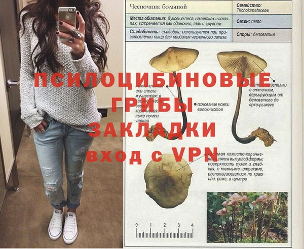 MESCALINE Аркадак